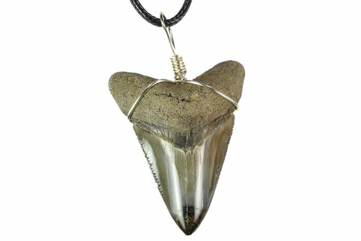 Fossil Megalodon Tooth Necklace - Serrated Blade #130375
